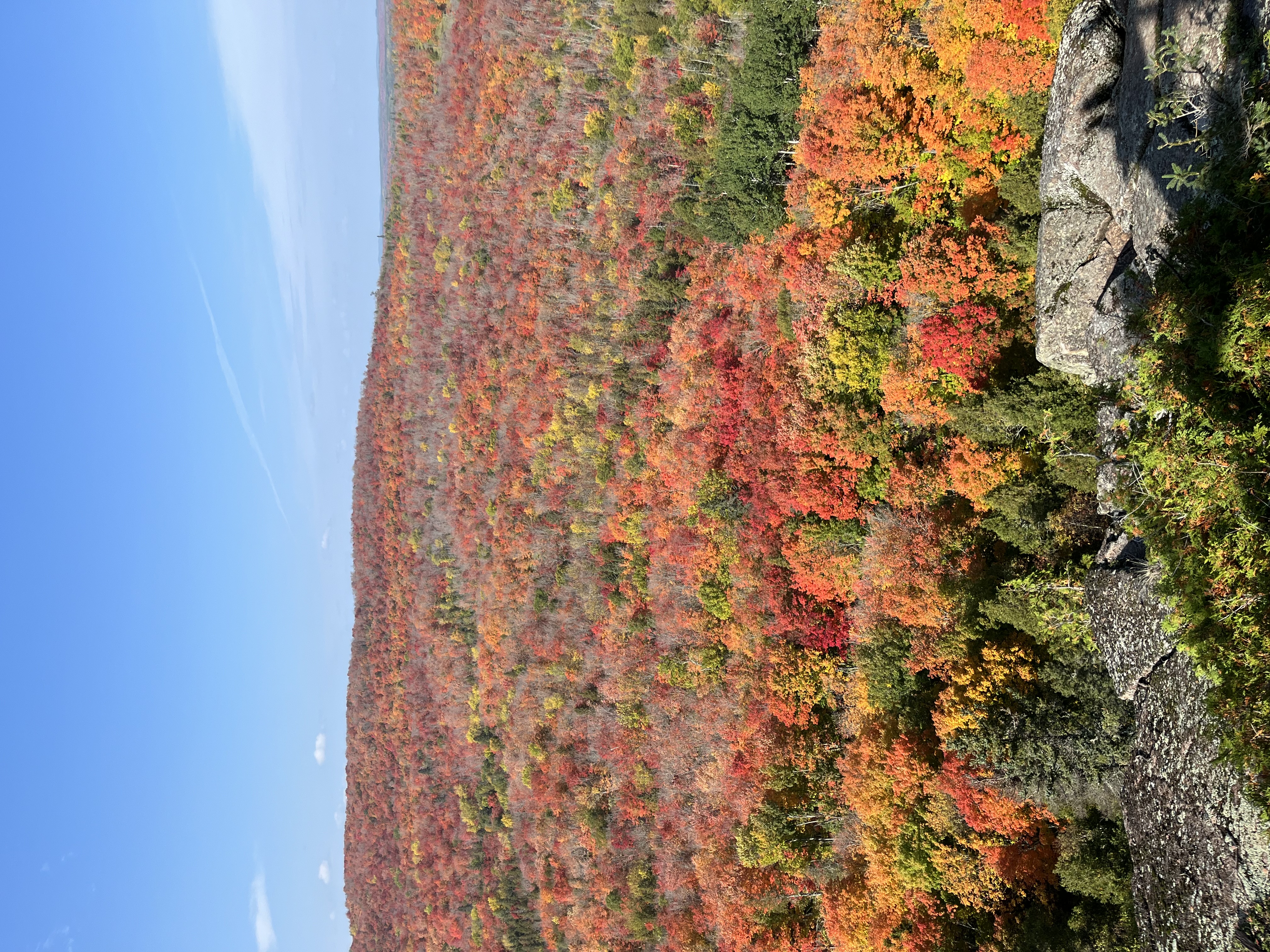 Beautiful fall colors in Lutsen's trees