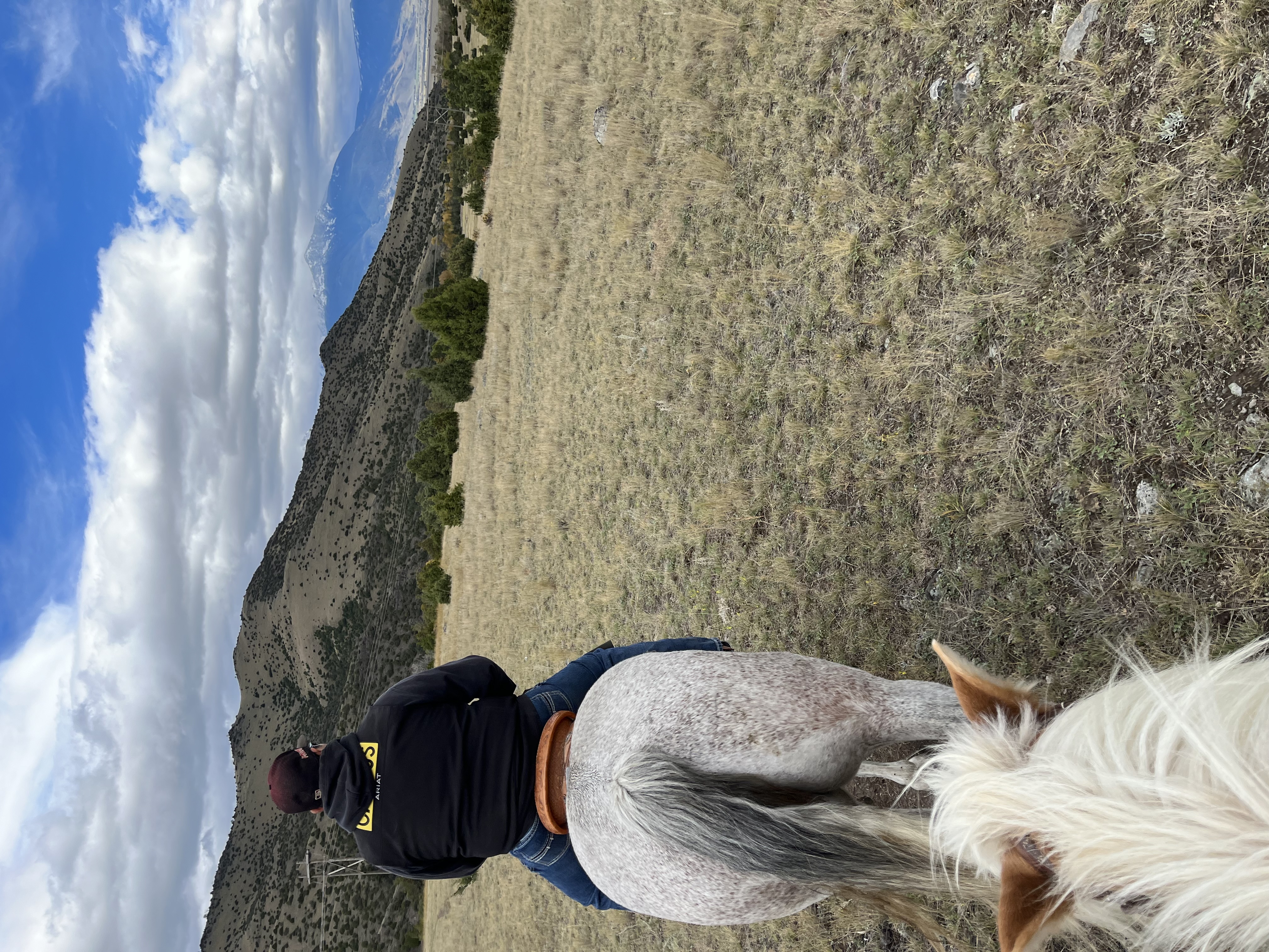 View from the back of a horse, showing another horse and rider leading on a trail in a hilly area