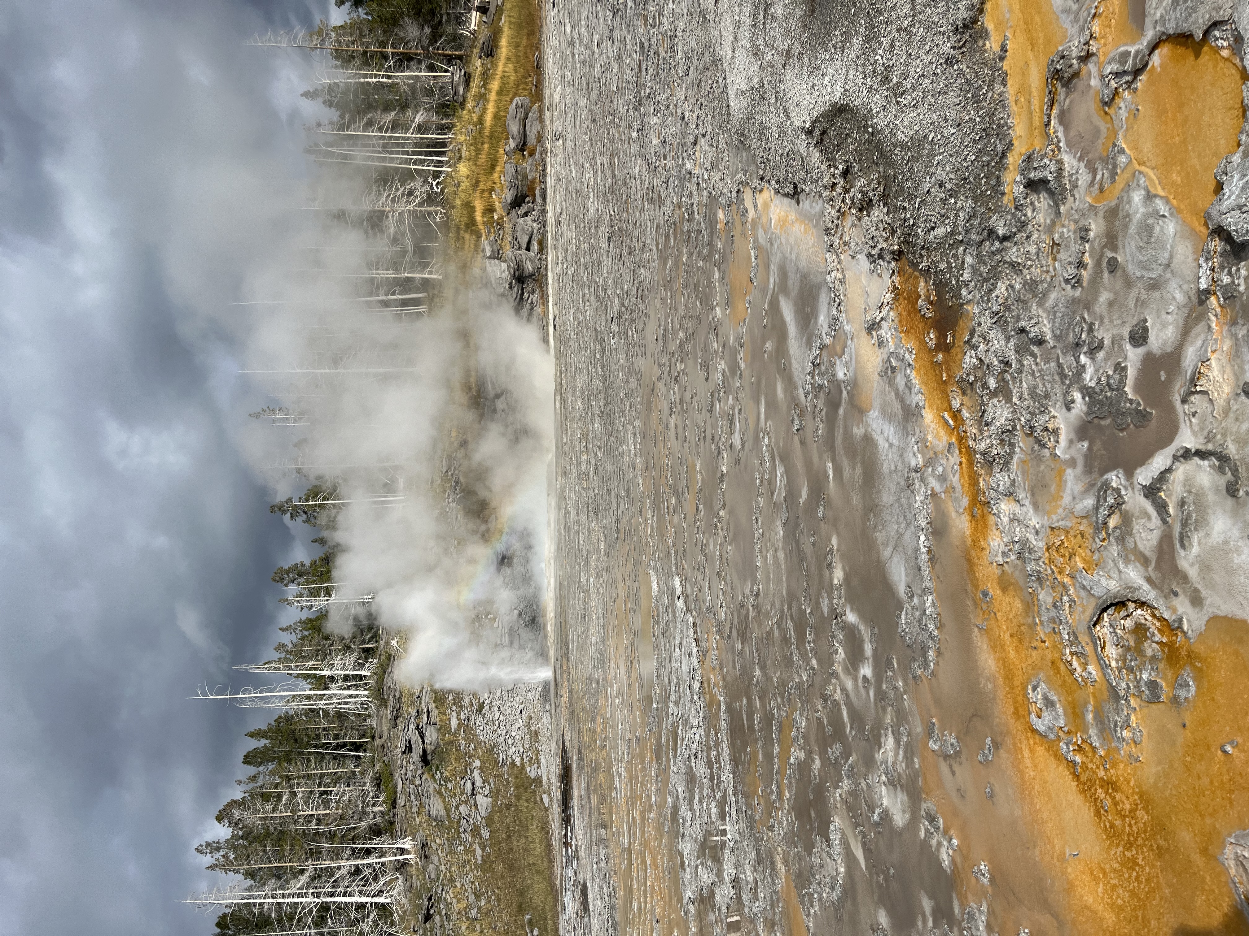 A steaming hot spring in the background with orange and brown thermal ground in the foreground