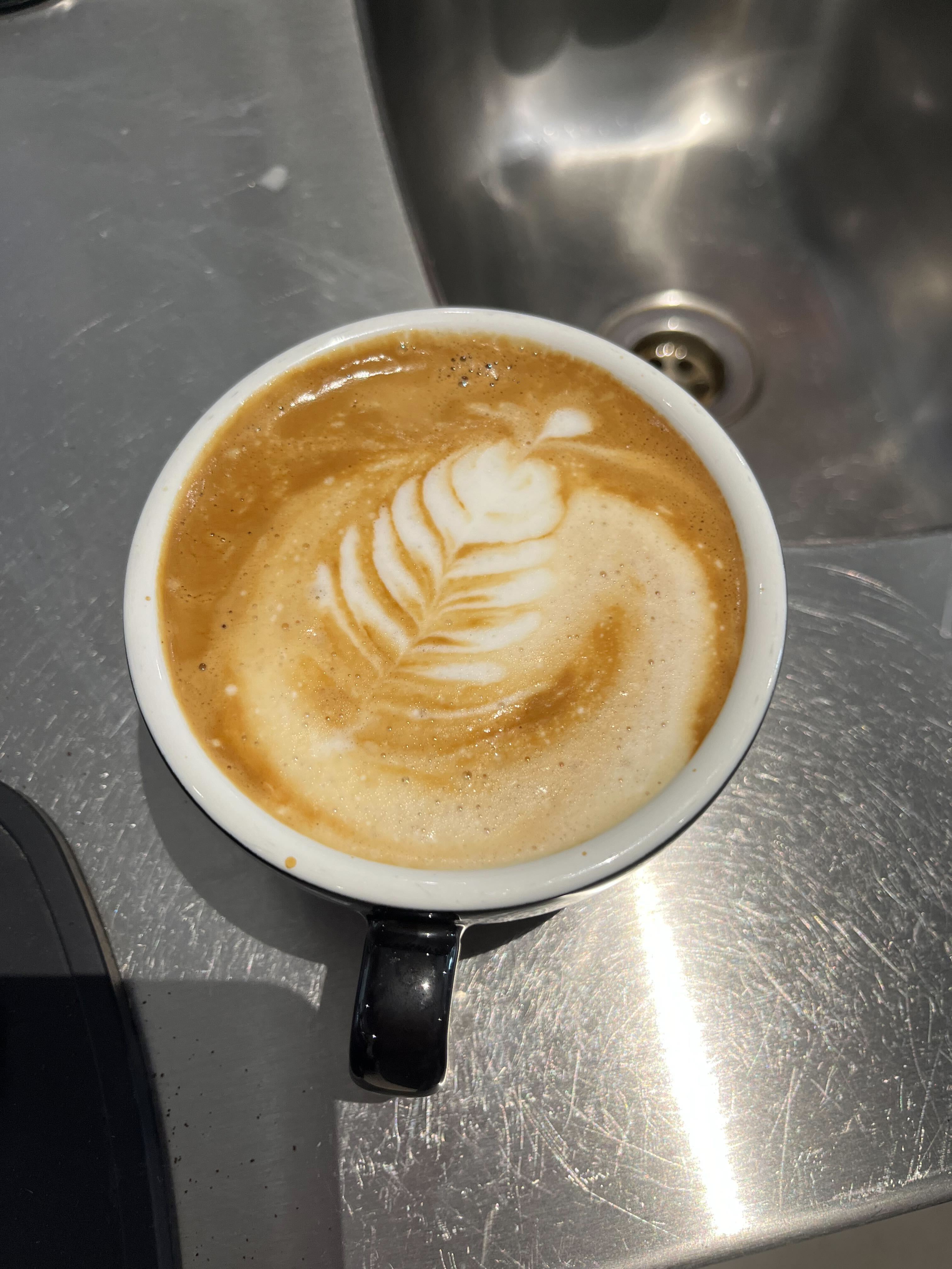 A picture of a cup of coffee with a slightly messy crema but an overall nice-looking fern shape in the foam